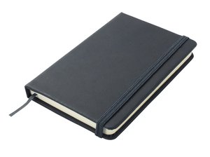 Päevik 823076
